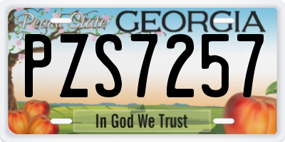GA license plate PZS7257