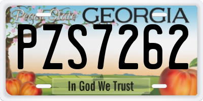 GA license plate PZS7262