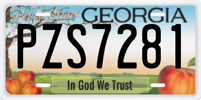 GA license plate PZS7281
