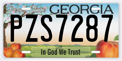 GA license plate PZS7287