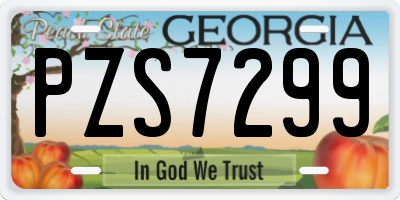 GA license plate PZS7299