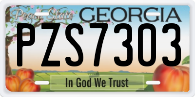 GA license plate PZS7303