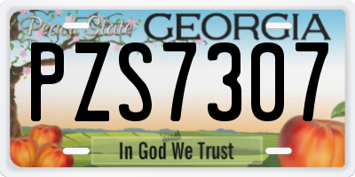 GA license plate PZS7307