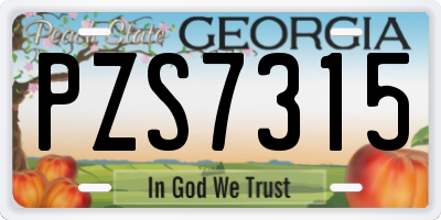 GA license plate PZS7315