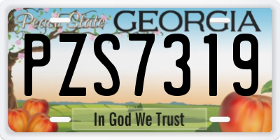 GA license plate PZS7319