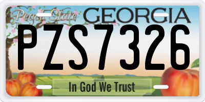 GA license plate PZS7326