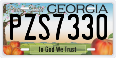 GA license plate PZS7330