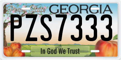 GA license plate PZS7333
