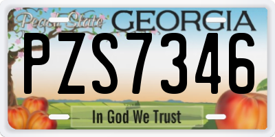 GA license plate PZS7346