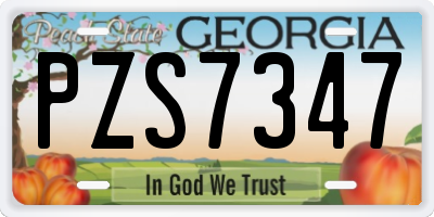 GA license plate PZS7347