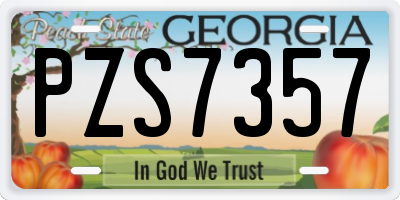 GA license plate PZS7357