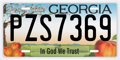 GA license plate PZS7369