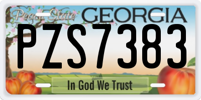 GA license plate PZS7383