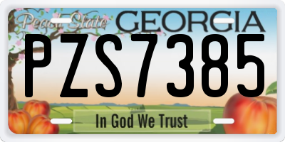 GA license plate PZS7385