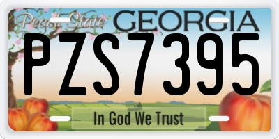 GA license plate PZS7395