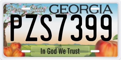 GA license plate PZS7399