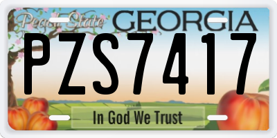 GA license plate PZS7417