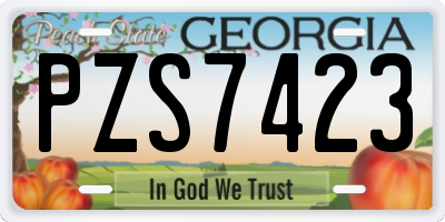 GA license plate PZS7423