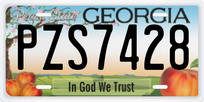 GA license plate PZS7428