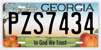 GA license plate PZS7434
