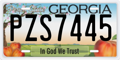 GA license plate PZS7445