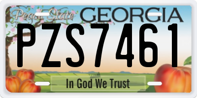 GA license plate PZS7461