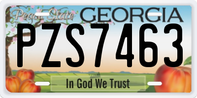 GA license plate PZS7463