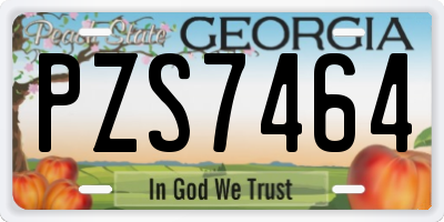 GA license plate PZS7464