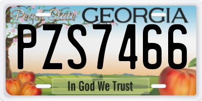 GA license plate PZS7466