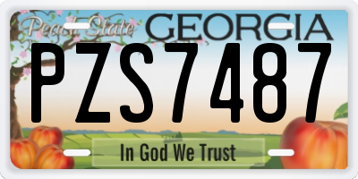 GA license plate PZS7487