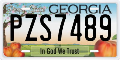 GA license plate PZS7489