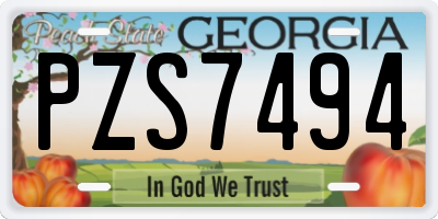 GA license plate PZS7494