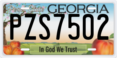 GA license plate PZS7502