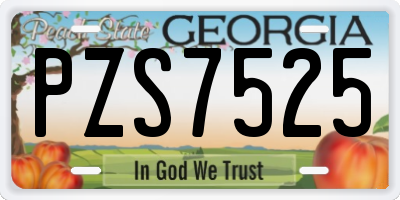 GA license plate PZS7525