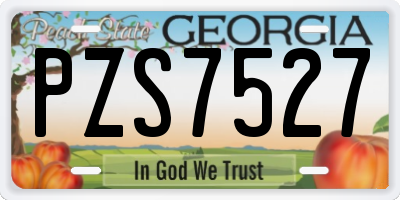 GA license plate PZS7527