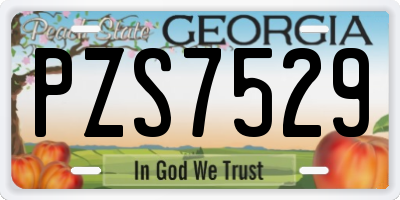 GA license plate PZS7529