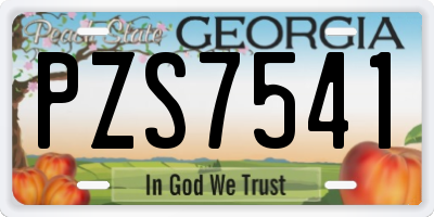 GA license plate PZS7541