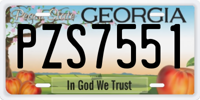 GA license plate PZS7551