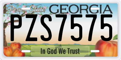 GA license plate PZS7575