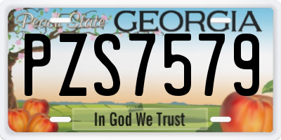 GA license plate PZS7579