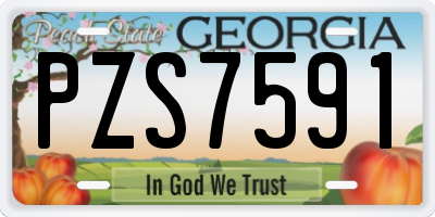 GA license plate PZS7591