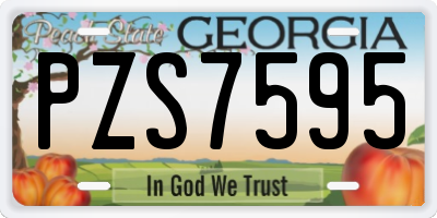 GA license plate PZS7595