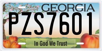 GA license plate PZS7601