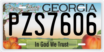 GA license plate PZS7606