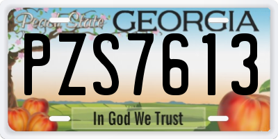GA license plate PZS7613