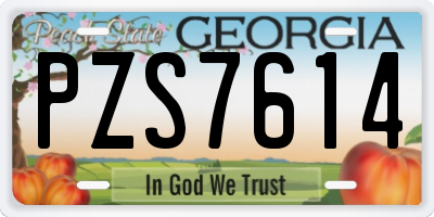 GA license plate PZS7614