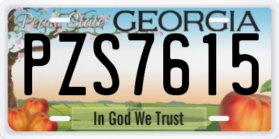 GA license plate PZS7615