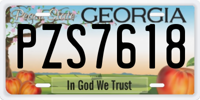 GA license plate PZS7618