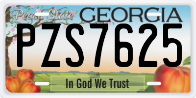 GA license plate PZS7625