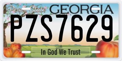 GA license plate PZS7629